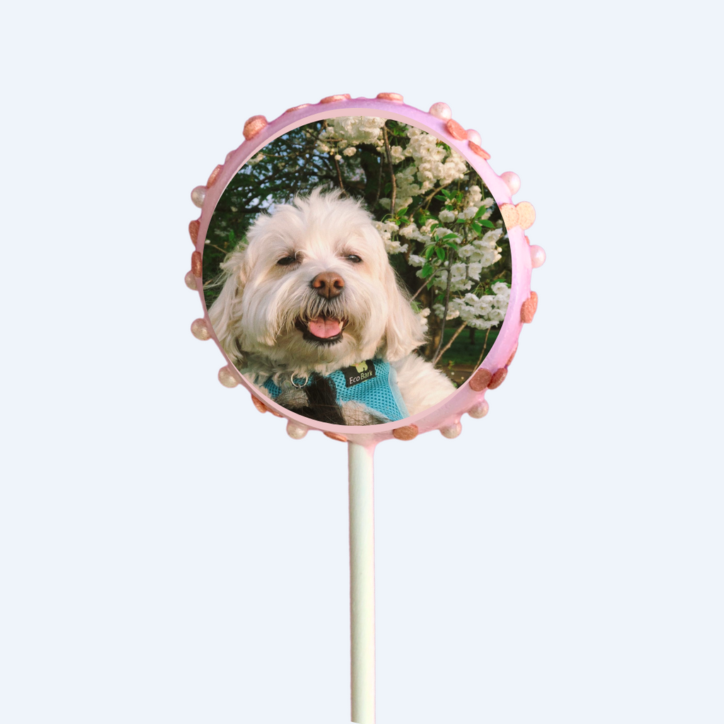 Sprinkle Round Image